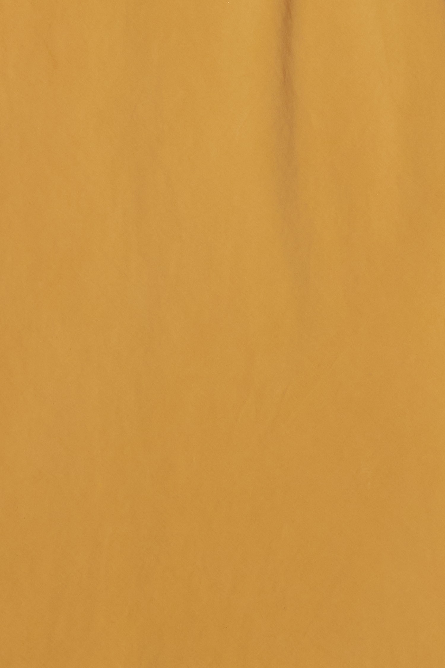 DM1522-MANGO