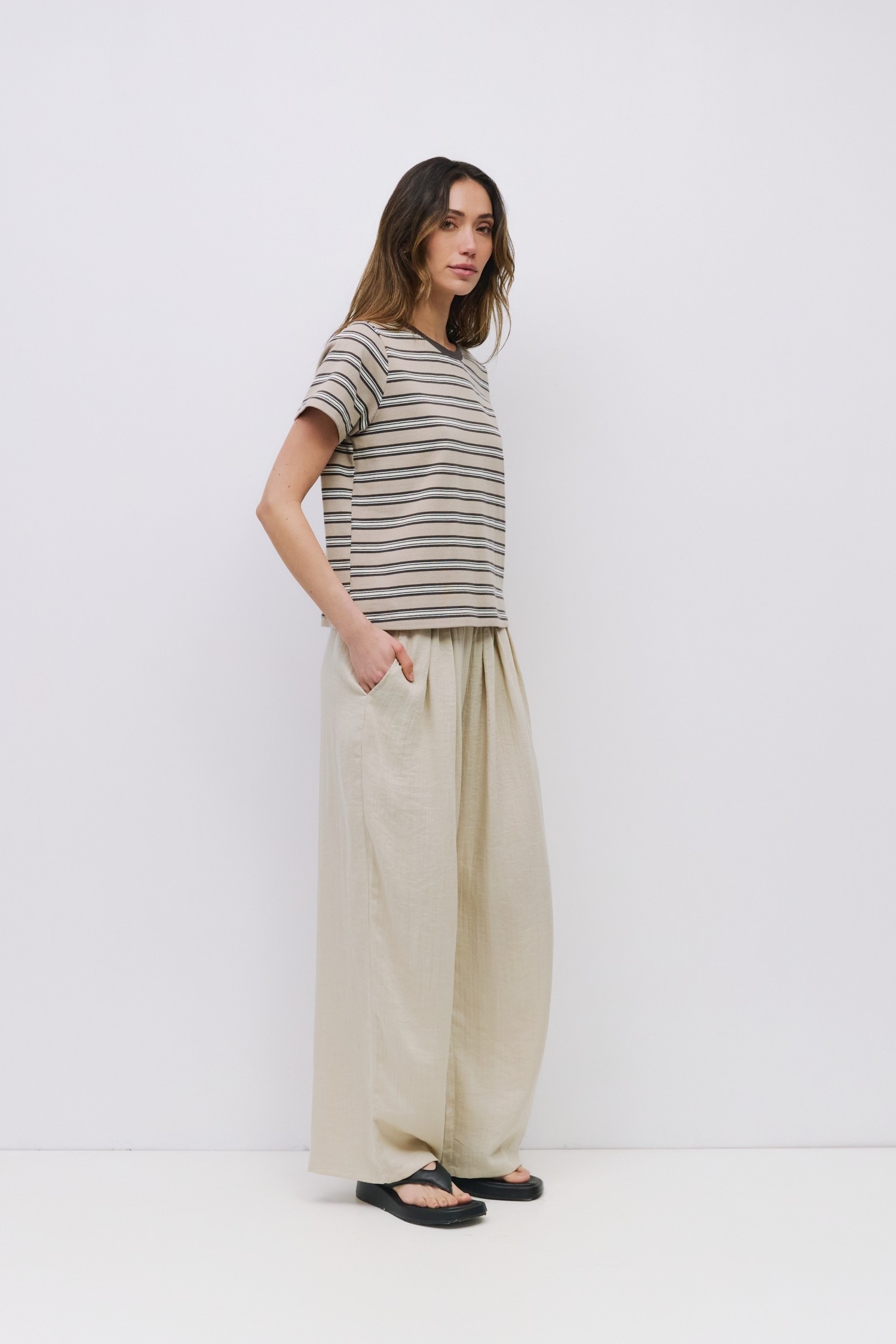 TAR0232-BROWN