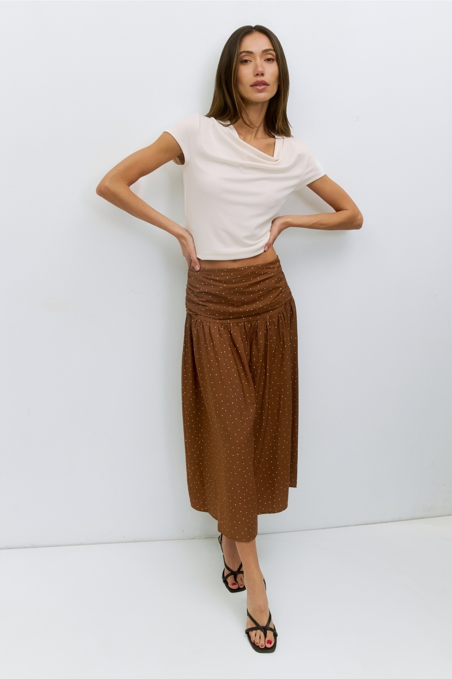 SAR0348-BROWN