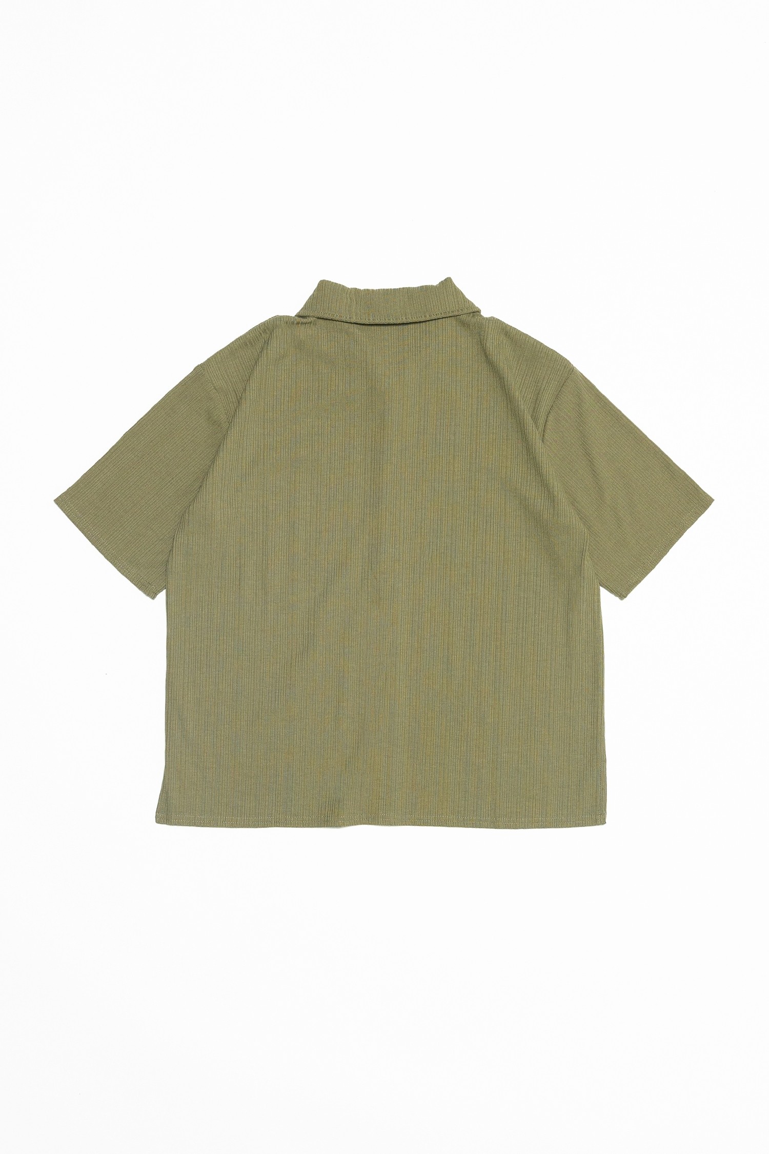 TM1776-OLIVE