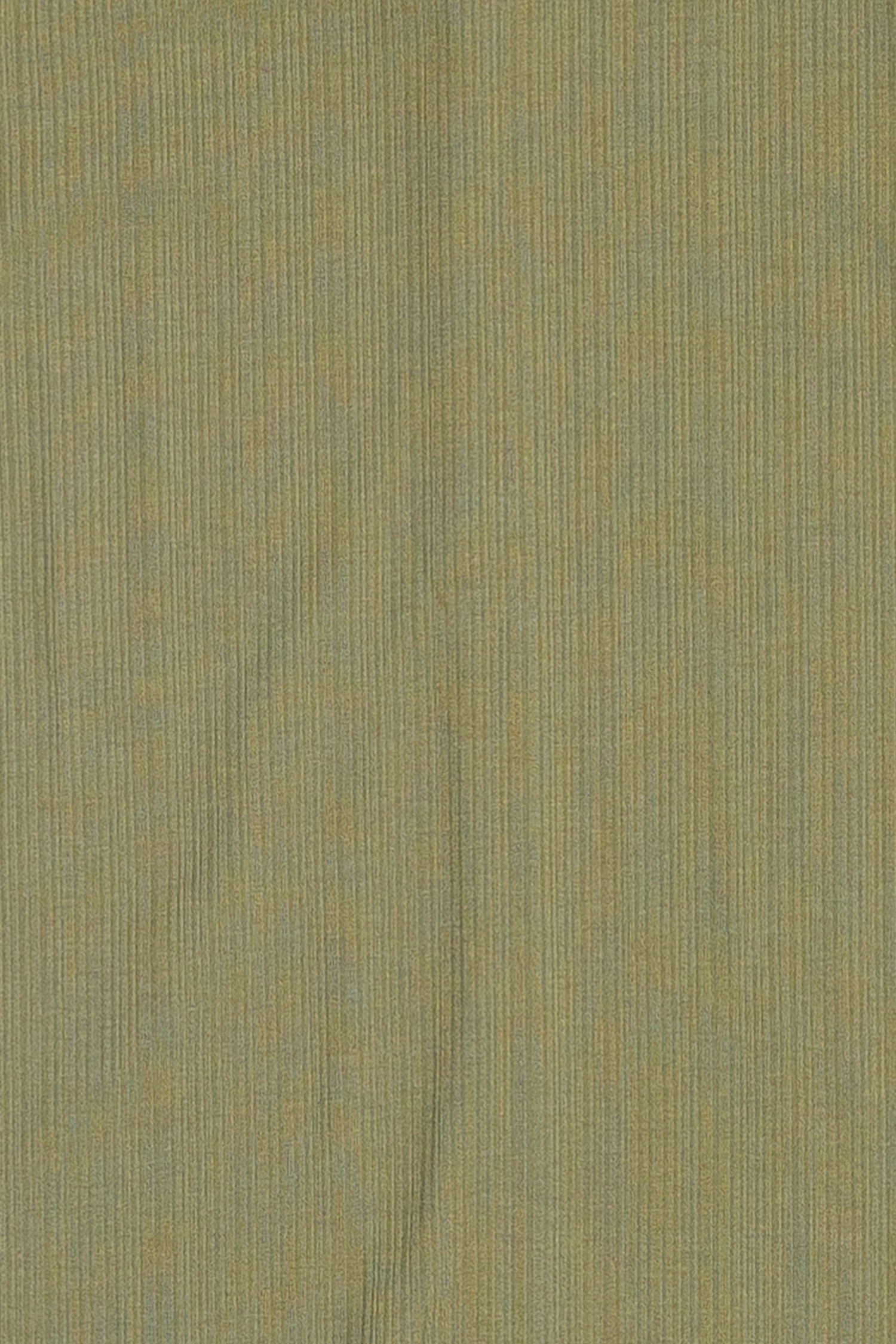 TM1776-OLIVE