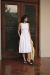 DM1598-WHITE