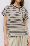 TAR0232-BROWN