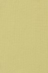 TM1743-LIME