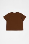 TM1773-BROWN